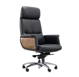 Executive Chairs