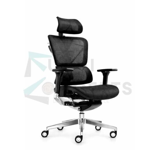 Furniconcepts Inox Mesh HB High Back Chair | Executive Office Seating, Modern Ergonomics | Full Mesh Back and Seat, Synchro Mechanism, Adjustable Lumbar