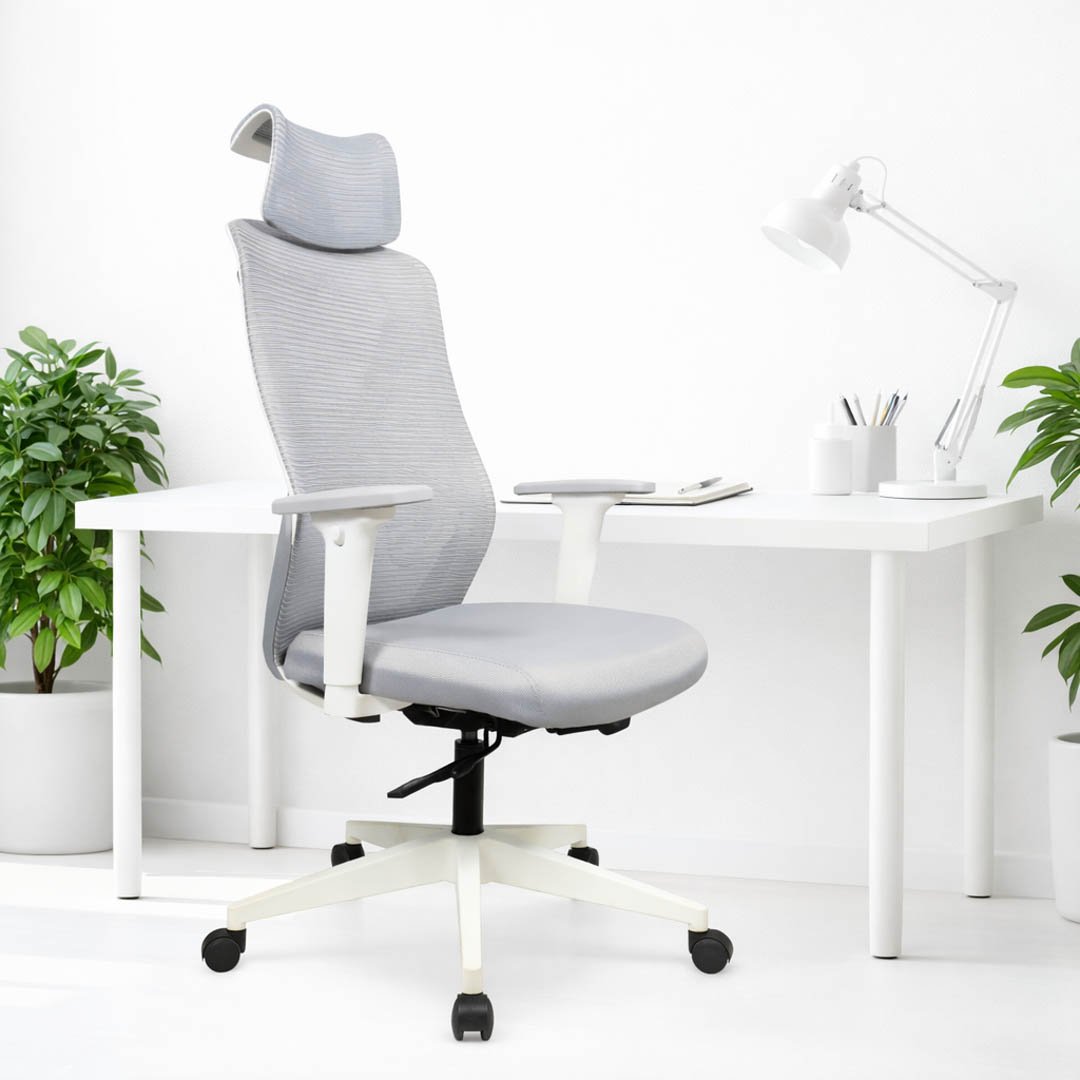 Ergonomic Office Chairs